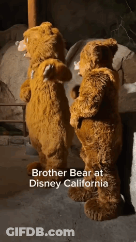 Two Brown Teddy Bears Are Standing Next To Each Other With The Caption Brother Bear At Disney California GIF