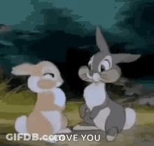Two Bunny Rabbits Sitting Next To Each Other In Field GIF
