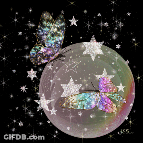 Two Butterflies Are Sitting On A Bubble Surrounded By Stars And The Name J.s. San Is On The Bottom GIF