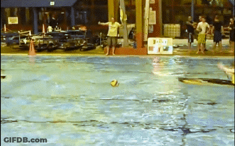 Two Canoe Collide GIF