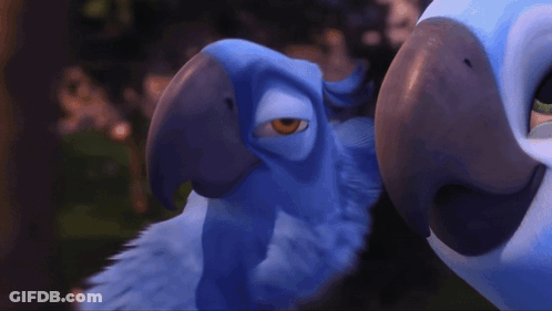 Two Cartoon Birds Looking At Each Other One With Yellow Eye GIF