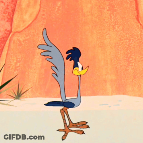 Two Cartoon Birds On Beach GIF
