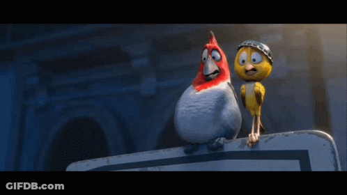 Two Cartoon Birds On Sign Saying Awkward GIF