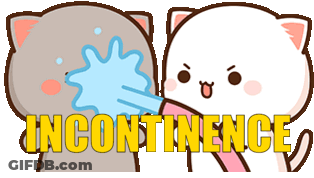 Two Cartoon Cats Are Standing Next To Each Other With The Word Incontinence Written In Yellow Letters GIF
