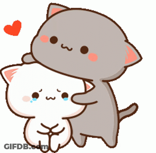 Two Cartoon Cats Hugging With Heart Background GIF