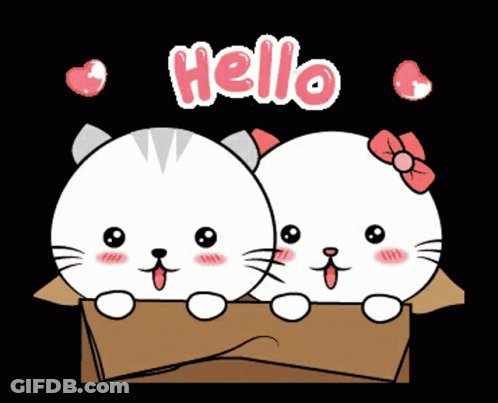 Two Cartoon Cats In Cardboard Box Saying Hello GIF