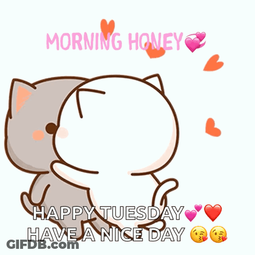 Two Cartoon Cats Kissing Morning Honey Happy Tuesday GIF