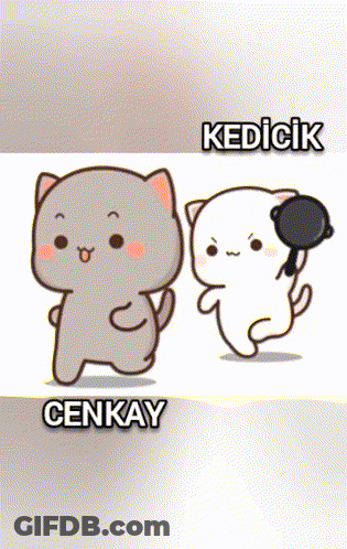 Two Cartoon Cats Named Cenkay And Kedicik GIF