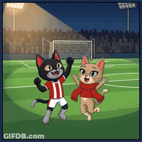 Two Cartoon Cats Playing Soccer On Field GIF