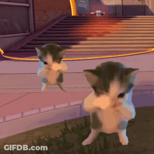 Two Cartoon Cats Standing In Front Of Building Saying I Wish GIF