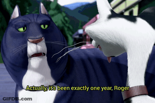 Two Cartoon Cats Talking About One Year GIF