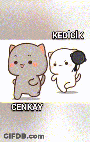 Two Cartoon Cats With Cenkay GIF