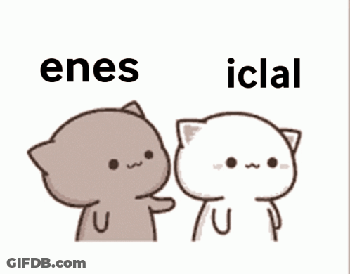 Two Cartoon Cats With Enes Iclal GIF