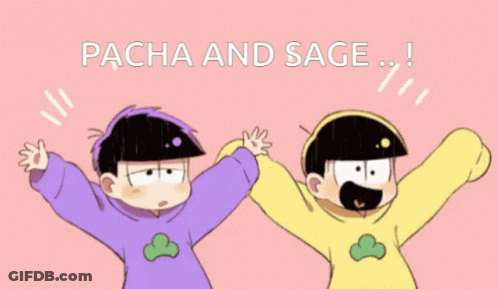 Two Cartoon Characters Are Standing Next To Each Other And The Words Pacha And Sage Are Above Them GIF