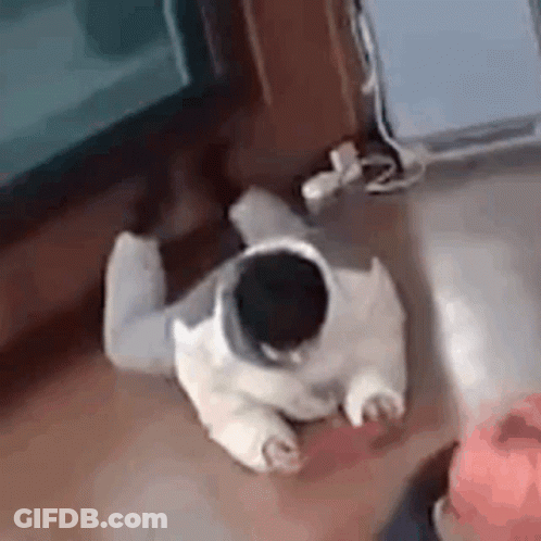 Two Cartoon Characters In Front Of Bridge Saying Zhot GIF