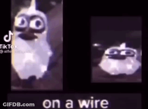 Two Cartoon Characters Saying On A Wire GIF