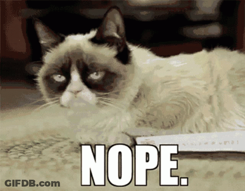 Two Cartoon Characters Talking What Are You Talking About GIF