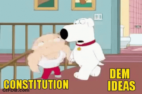Two Cartoon Characters With Constitution And Dem Ideas GIF
