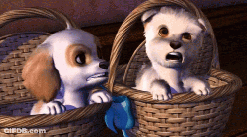 Two Cartoon Dogs Are Sitting In Wicker Baskets With A Blue Bow GIF
