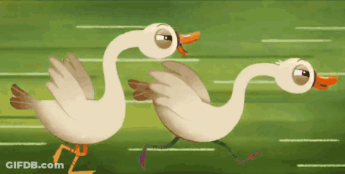 Two Cartoon Ducks Are Running In A Race On A Green Field GIF