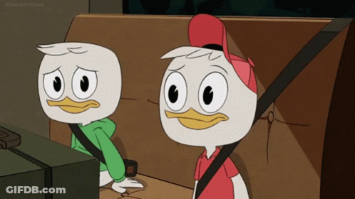Two Cartoon Ducks In Back Seat One With Red Hat GIF