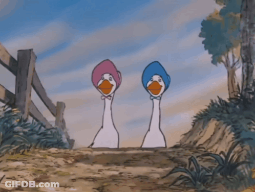 Two Cartoon Ducks Wearing Pink And Blue Hats Standing Next To Each Other GIF