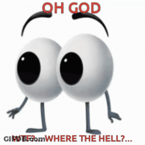Two Cartoon Eyes With Arms And Legs And The Words Oh God Wtf Where The Hell On The Bottom GIF