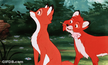 Two Cartoon Foxes Standing Together GIF