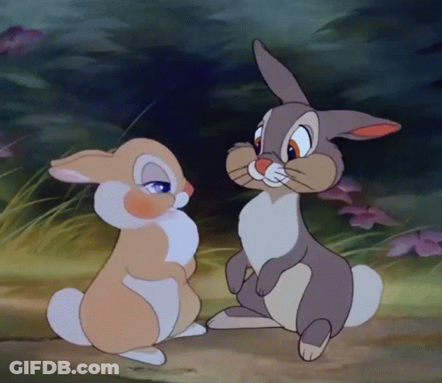 Two Cartoon Rabbits Smiling GIF
