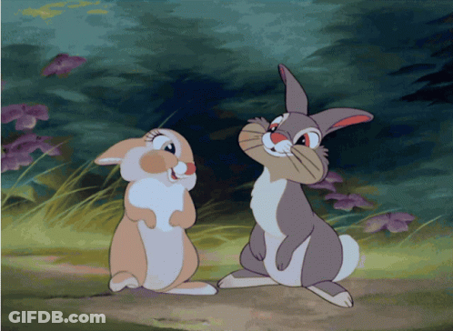 Two Cartoon Rabbits Smiling GIF