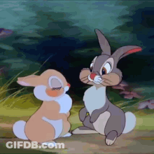 Two Cartoon Rabbits Standing In Field GIF