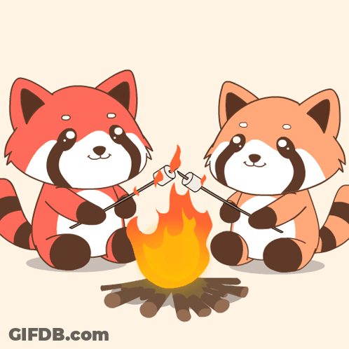 Two Cartoon Raccoons Are Roasting Marshmallows Over A Campfire GIF