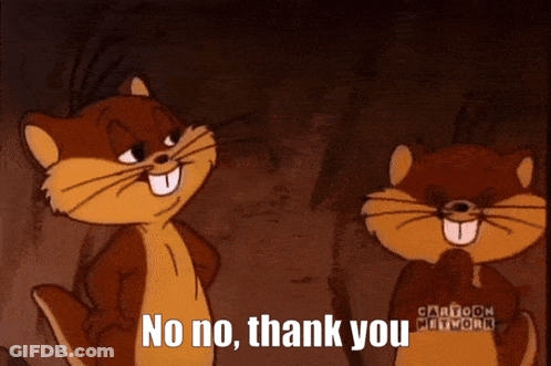 Two Cartoon Squirrels Are Standing Next To Each Other And One Of Them Says No No Thank You GIF