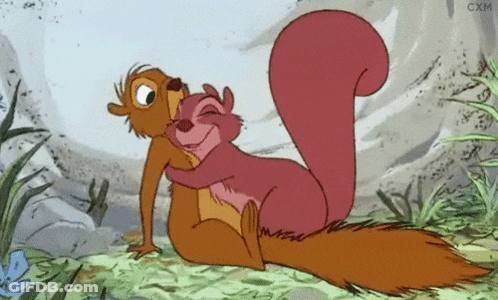 Two Cartoon Squirrels Hugging With Cxm GIF