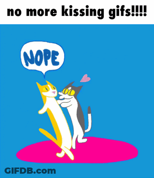Two Cat No More Kissing GIF