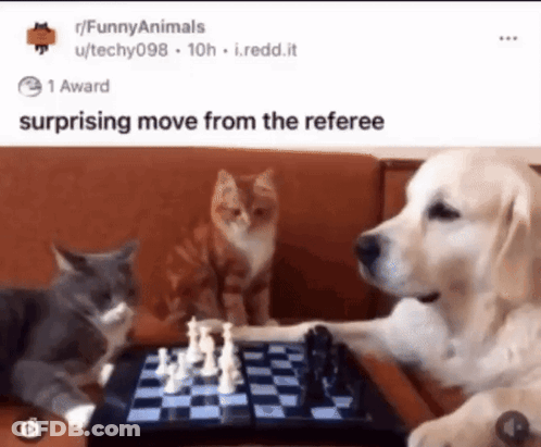 Two Cats And A Dog Playing A Game Of Chess On A Table GIF