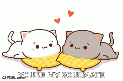 Two Cats Are Laying On A Pillow With The Words `` You 'Re My Soulmate '' Written Below Them . GIF