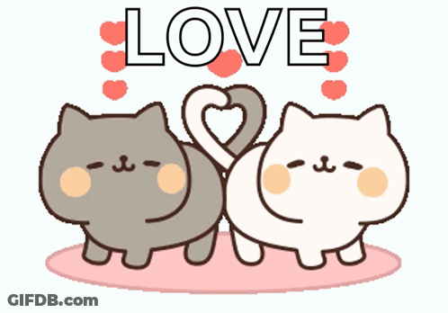Two Cats Are Making A Heart Shape With Their Tails And The Word Love Is Above Them GIF