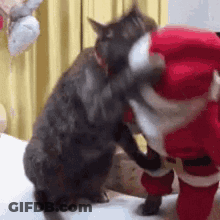 Two Cats Are Playing With Each Other And One Is Wearing A Santa Suit . GIF