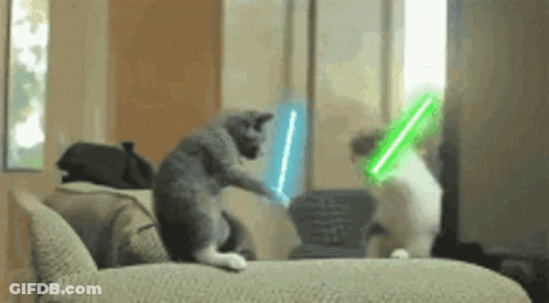 Two Cats Are Playing With Lightsabers On A Couch . GIF