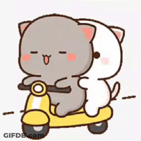 Two Cats Are Riding A Scooter Together . GIF