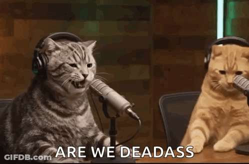 Two Cats Are Sitting At A Table In Front Of Microphones And One Of Them Is Yawning . GIF