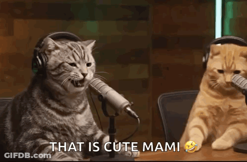Two Cats Are Sitting At A Table In Front Of Microphones With The Words `` That Is Cute Mami '' Written Below Them . GIF