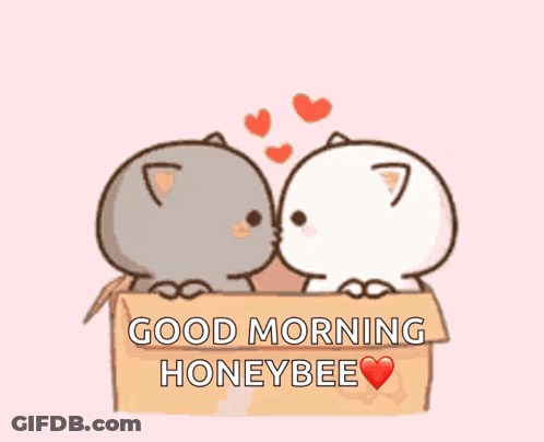 Two Cats Are Sitting In A Box With The Words Good Morning Honeybee Above Them GIF