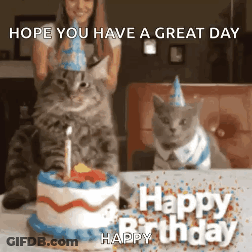 Two Cats Are Sitting In Front Of A Birthday Cake With A Candle . GIF