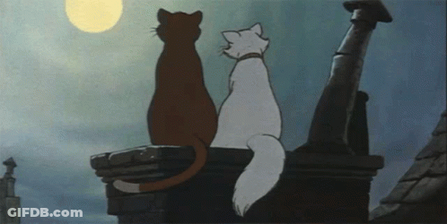 Two Cats Are Sitting On A Chimney And Looking At The Moon GIF