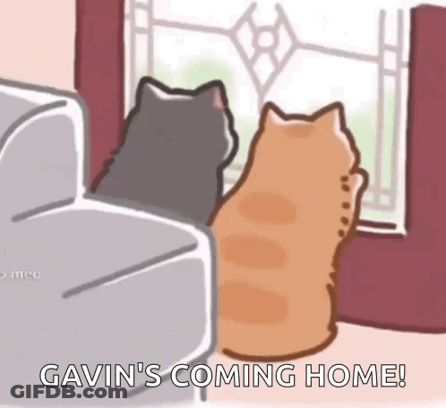 Two Cats Are Sitting On A Couch Looking Out Of A Window And Saying Gavin 'S Coming Home . GIF