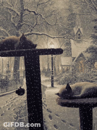 Two Cats Are Sleeping In The Snow On A Fence Post GIF