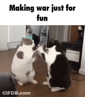 Two Cats Are Standing Next To Each Other In A Room . GIF