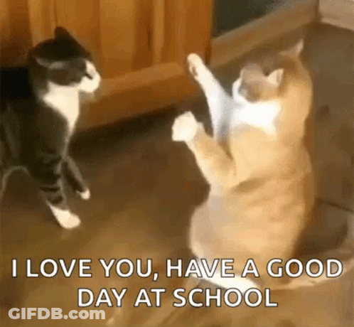Two Cats Are Standing Next To Each Other On Their Hind Legs And One Of Them Is Holding Another Cat 'S Paw . GIF
